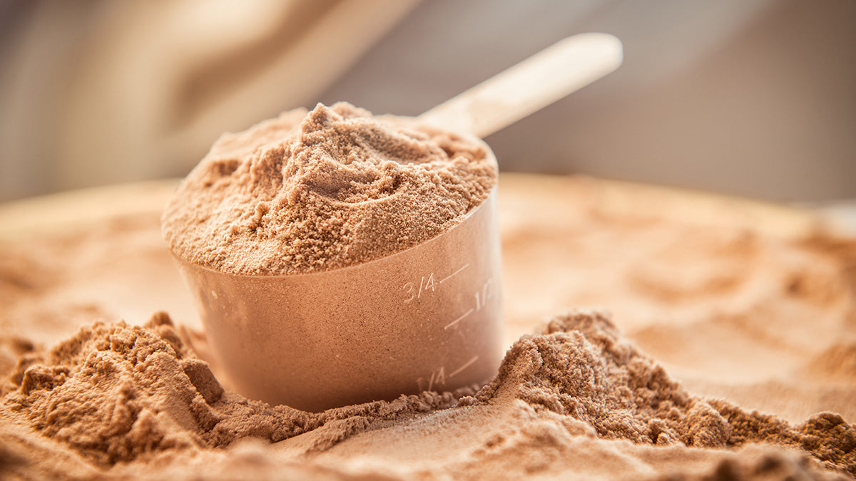 Discover the Healthy Power of Whey Protein